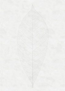 Fototapeta ścienna Decent Leaf R2-012