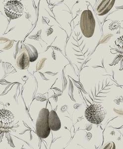 Tapeta ścienna Khroma CAB601 Cabinet of Curiosities