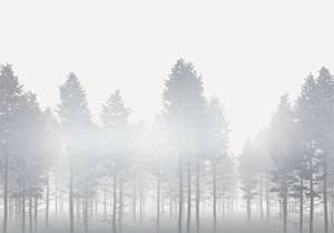 Fototapeta ścienna Silver Haze RSX8-055