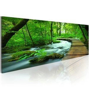 Obraz - Leśny deptak