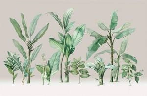 Fototapeta ścienna z egzotycznym motywem tropikalne drzewa liście V111-1