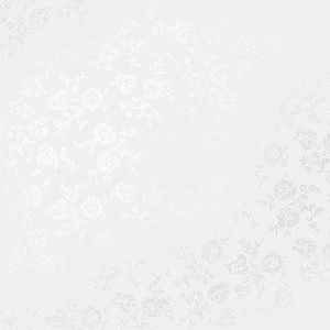 Tapeta ścienna Decor Maison 2974-1 SILVA