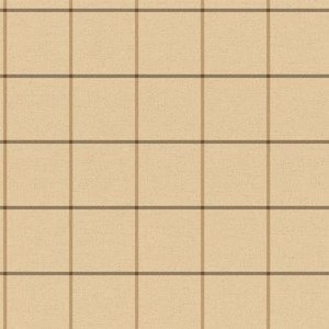 Tapeta ścienna York Wallcoverings MW9155 MENSWEAR