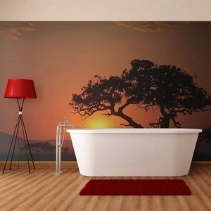 Fototapeta - Afryka: zachód słońca