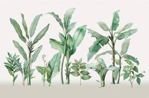 Fototapeta ścienna z egzotycznym motywem tropikalne drzewa liście V111-2