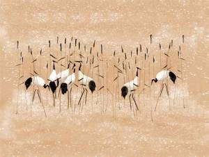 Fototapeta ścienna Żurawie na piaskowym tle V104-2