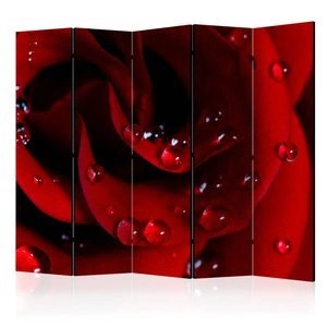 Parawan 5-częściowy - Czerwona róża i krople rosy II [Room Dividers]