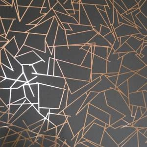 Tapeta ścienna Angles copper rose / lead grey Erica Wakerly