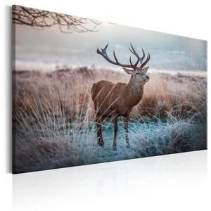 Obraz - Dzikie zwierzę