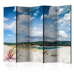 Parawan 5-częściowy - Plaża na Costa da Morte II [Room Dividers]