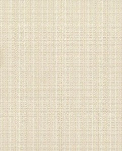 Tapeta ścienna York Wallcoverings TN0020 Textures & Prints