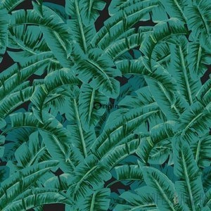 Tapeta ścienna Origin 347438 Wunderkammer