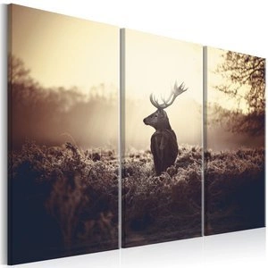 Obraz - Przyczajony jeleń I