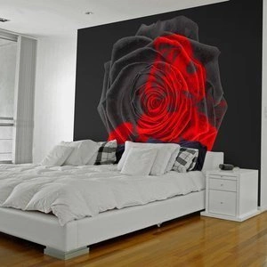 Fototapeta - Przemiana