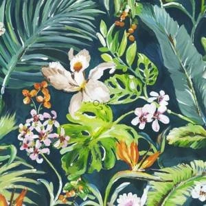 Fototapeta ścienna Origin 357207 Wunderkammer