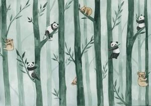 Fototapeta ścienna koale i pandy na drzewach 5