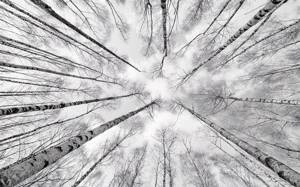 Fototapeta ścienna Weiss-Blau SHX9-093