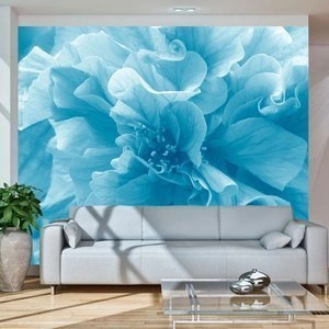 Fototapeta - Blue azalea