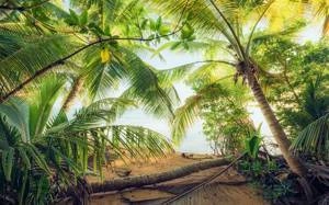 Fototapeta ścienna Piratenversteck SHX9-070