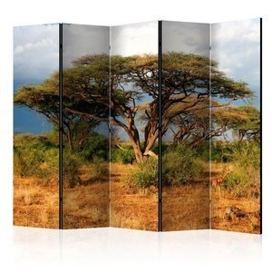 Parawan 5-częściowy - W krainie Samburu, Kenia II [Room Dividers]