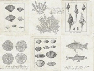 Tapeta ścienna Wallquest TH50908 Destination USA