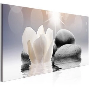 Obraz - Kamyczki na wodzie (1-częściowy) wąski