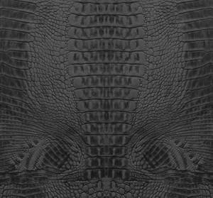 Fototapeta ścienna Origin 357247 Luxury Skins