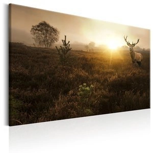 Obraz - Mgliste pole