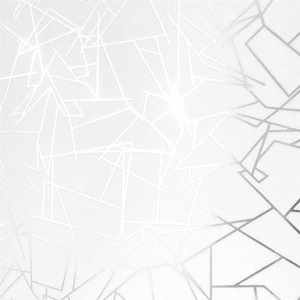 Tapeta ścienna Angles silver / white Erica Wakerly
