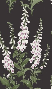 Tapeta ścienna Graham&Brown 130305 Concerto