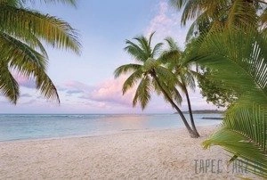 Fototapeta Paradise Morning XXL4-528
