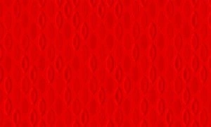 Tapeta ścienna Arte MO2102 Moooi - Extinct Animals