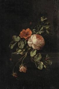 Fototapeta ścienna Esta Home 158884 Blush