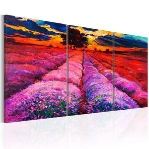 Obraz - Kraina kolorów