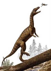 Fototapeta ścienna Effigia IANGX4-005