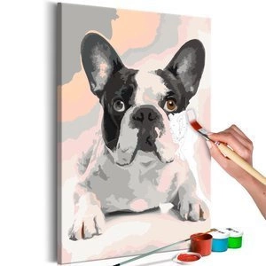 Obraz do samodzielnego malowania - Buldog francuski