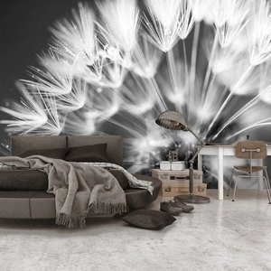 Fototapeta - Dmuchawiec: Pocałunek poranka