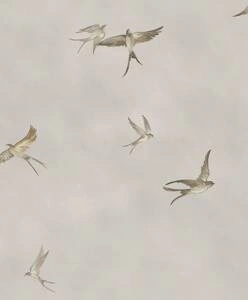 Tapeta ścienna Marburg 34790 Essentiell