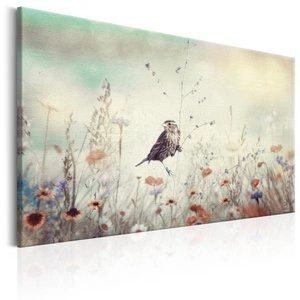 Obraz - Dzika łąka