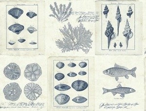 Tapeta ścienna Wallquest TH50902 Destination USA