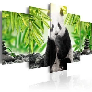 Obraz - Słodka mała panda