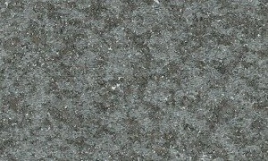 Tapeta ścienna Arte MO2051 Moooi - Extinct Animals