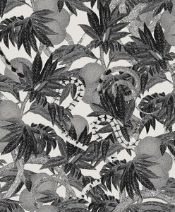 Tapeta ścienna Khroma CAB202 Cabinet of Curiosities