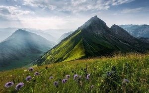 Fototapeta ścienna The Green Queen SHX9-088