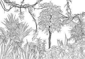 Fototapeta ścienna Blanca R4-046