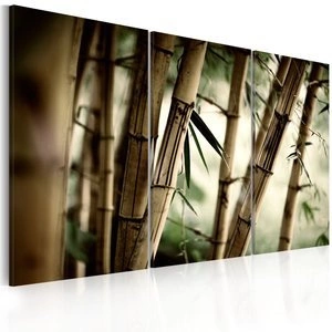 Obraz - W tropikalnym lesie