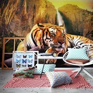 Fototapeta - Piękno i bestia