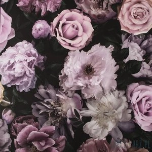 Tapeta do sypialni różowe róże kwiaty romantyczna