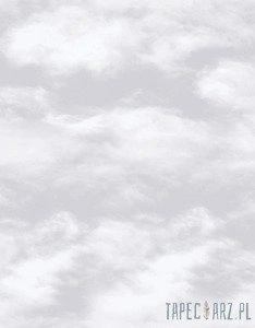 Tapeta ścienna Galerie G56532 JUST 4 KIDS 2