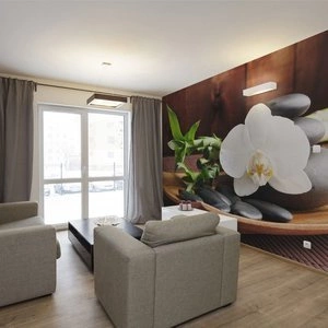 Fototapeta - świątynia  zen